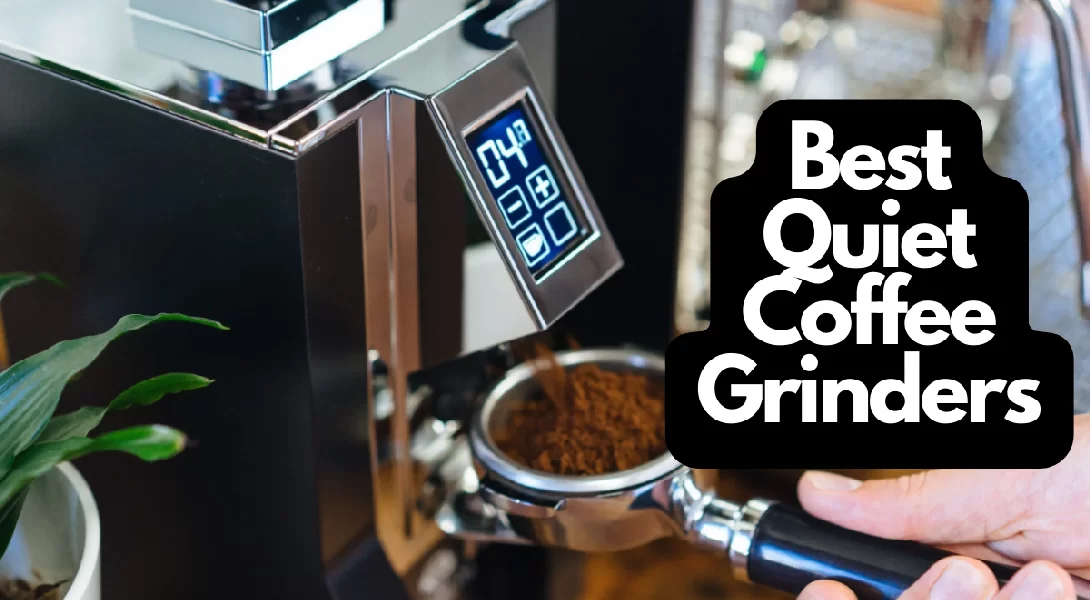 From Beans to Bliss: Unveiling the Top 5 Coffee Grinders for Exceptional Grinding in 2024